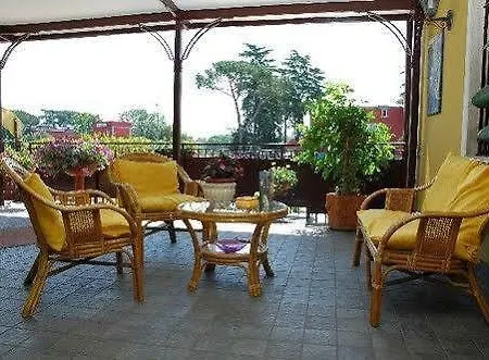فندق Shasa 3*