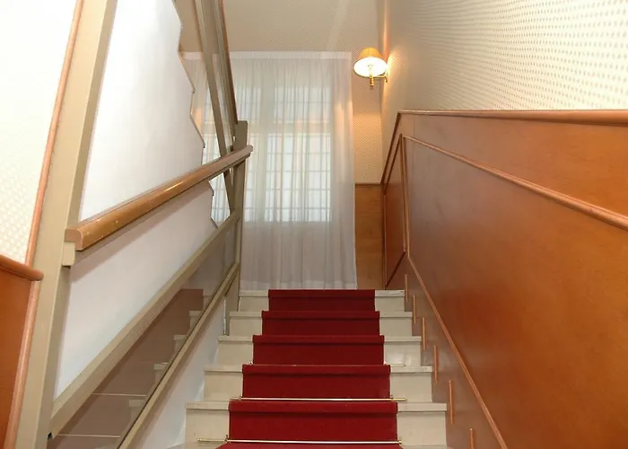 Otel Shasa 3*