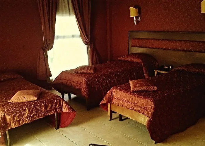 Otel Shasa